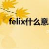 felix什么意思中文翻译（felix什么意思）