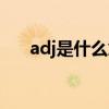 adj是什么意思英语（adj是什么意思）