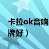 卡拉ok音响品牌排行榜（卡拉ok音响什么品牌好）