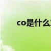 co是什么意思外贸（co是什么意思）