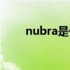 nubra是什么（nubra是什么意思）