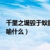 千里之堤毁于蚁的意思是什么（千里之堤毁于蚁穴常用来比喻什么）