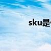 sku是什么图（sku是指什么）