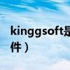 kinggsoft是什么软件（kinggsoft是什么文件）