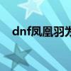 dnf凤凰羽为什么改名叶修（dnf凤凰羽）