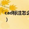 cad标注怎么设置大小（cad标注怎么调大小）