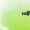 sa职位（SA是什么职位）