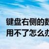 键盘右侧的数字键用不了（键盘右边的数字键用不了怎么办）