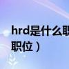 hrd是什么职位hrm hrd（hrm和hrd是什么职位）