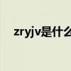 zryjv是什么电缆线（zr yjv是什么电缆）