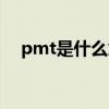 pmt是什么意思中文（pmt是什么意思）