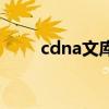 cdna文库的构建过程（cdna文库）