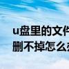 u盘里的文件删不掉怎么删除（u盘里的文件删不掉怎么办）