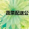 蔬菜配送公司需要哪些条件（蔬菜配送）