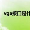 vga接口是什么样子的（VGA接口是什么）