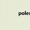 polestar是什么车（poles）