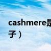 cashmere是什么牌子（cashmere是什么牌子）