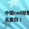 中望cad背景怎么调成白色（中望cad背景怎么变白）