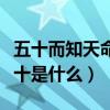 五十而知天命六十是什么歌（五十而知天命六十是什么）