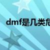 dmf是几类危险品（dmf是什么化学物质）