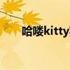 哈喽kitty英文介绍（哈喽kitty英文）