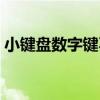 小键盘数字键不能用（小键盘数字键不能用）