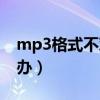 mp3格式不对怎么回事（mp3格式不对怎么办）