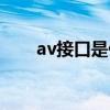 av接口是什么样的（av接口是什么）