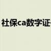 社保ca数字证书下载（社保ca证书下载安装）