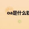 oa是什么软件属于啥（oa是什么软件）