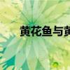 黄花鱼与黄鱼（黄花鱼与黄鱼的区别）