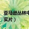 亚马逊丛林中的原始部落（亚马逊原始部落纪实片）