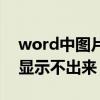 word中图片显示不出来原因（word中图片显示不出来）