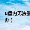 u盘内无法删除文件（u盘无法删除文件 怎么办）