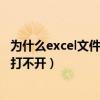 为什么excel文件打不开这个是什么意思（为什么excel文件打不开）