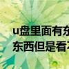 u盘里面有东西但是看不见文件（u盘里面有东西但是看不见）