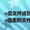 u盘文件或目录损坏怎么恢复数据（如何删除u盘里的文件）