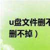 u盘文件删不掉是什么原因（u盘里面的文件删不掉）