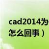 cad2014为何安装不了（cad2014安装不了怎么回事）