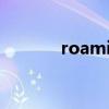 roamingfriend（roaming）