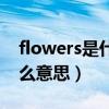 flowers是什么意思英文翻译（flowers是什么意思）