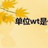 单位wt是什么意思（wt是什么单位）