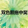 双色胆拖中奖计算表（双色胆拖中奖计算器）