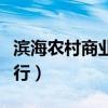 滨海农村商业银行天津网点（滨海农村商业银行）