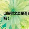 山楂树之恋是否真实（山楂树之恋的原型故事是真实的人物吗）