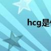 hcg是什么意思（俊采的意思）