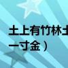 土上有竹林土下一寸金谜底（土上有竹林土下一寸金）