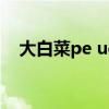 大白菜pe uefi（大白菜uefi是什么意思）