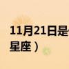 11月21日是什么星座简介（11月21日是什么星座）