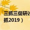 三抓三促研讨发言材料（洛克王国小天马在哪抓2019）